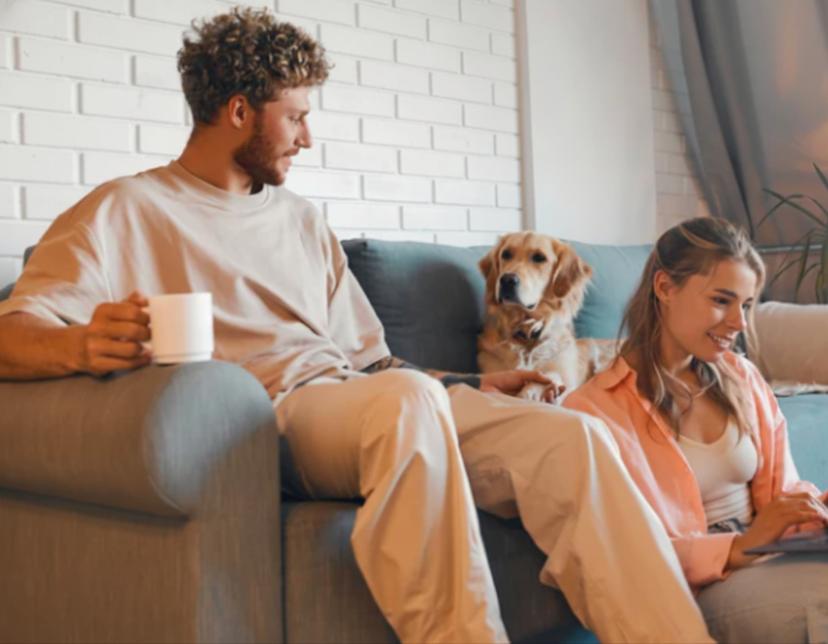 Dog photo for Adoptive Family